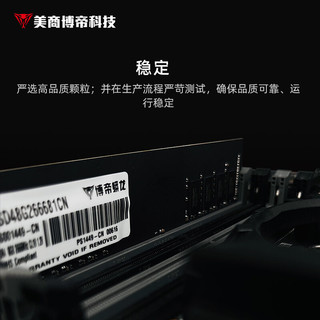 VIPER GAMING 博帝蟒龙 ViperGaming） DDR4代 PC台式机内存条  龙元系列电脑升级装机游戏加速 龙元