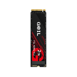 GeIL 金邦 P3L NVMe M.2 固态硬盘 250GB（PCI-E3.0）