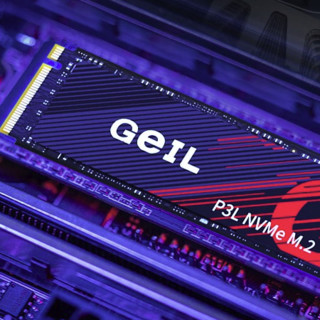 GeIL 金邦 P3L NVMe M.2 固态硬盘（PCI-E3.0）