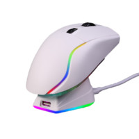 Dareu 达尔优 A955 2.4G蓝牙 多模无线鼠标 12000DPI RGB 白色