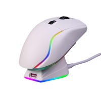 Dareu 达尔优 A955 2.4G蓝牙 多模无线鼠标 12000DPI RGB 白色