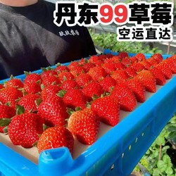 玖玖农场 丹东99草莓精选大果2斤礼盒单果30g起新鲜草莓