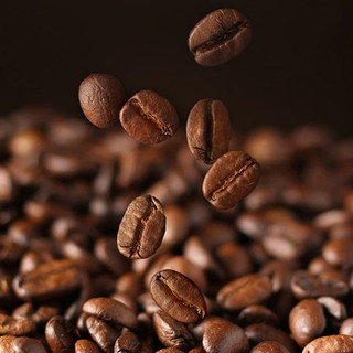 LAVAZZA 拉瓦萨 中度烘焙 大地系列日晒巴西咖啡豆 1000g