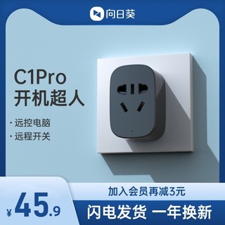 蒲公英路由 Sunlogin 向日葵 C1 智能插座