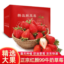 正宗红颜99奶油草莓礼盒装 甄选中果5斤（约200-240粒）