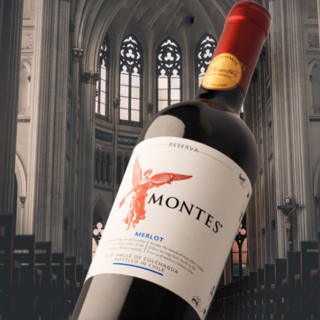 MONTES 蒙特斯 蒙特斯酒庄空加瓜谷干型红葡萄酒 2019年 6瓶*750ml套装 整箱装
