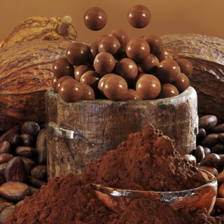 BENRO 百诺 英式麦丽素 纯可可脂巧克力 100g
