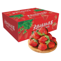 勿语 大凉山 红颜草莓 4盒装中大果礼盒装（单果12克+）