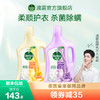 Dettol 滴露 衣物消毒液除菌液 高效杀菌除螨除味内衣裤清洁 搭配洗衣柔顺液用 金盏花2.5L