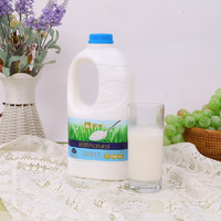 限地区、88VIP：MENGNIU 蒙牛 酸牛奶原味桶 1.1kg