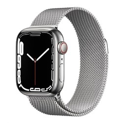 Apple 苹果 Watch Series 7 蜂窝版 不锈钢表壳 41毫米
