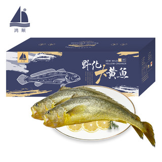 鸿顺 野化黄花鱼1.2kg/2条礼盒装 鲜冻 国产海鲜水产 健康轻食