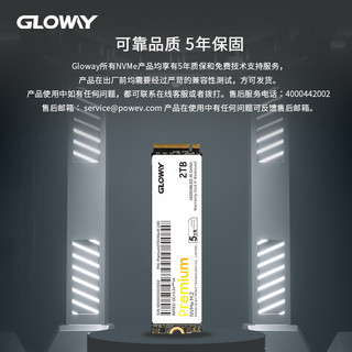 GLOWAY 光威 Premium系列 高级版 M.2 NVMe 固态硬盘 2TB