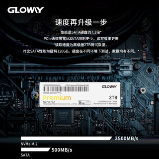 GLOWAY 光威 Premium系列 高级版 M.2 NVMe 固态硬盘 2TB