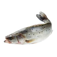 GUOLIAN 国联 国产鲈鱼 净重400g