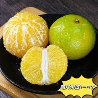 移动专享、移动端：MeiZe 美则 广西武鸣皇帝柑新鲜水果当季净重5斤