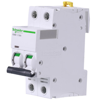 Schneider Electric 施耐德电气 A9F18232R 双进双出断路器 2P 32A