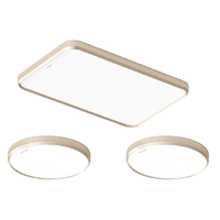 Honeywell 霍尼韦尔 翼光系列 HWX-01L Plus+HWX-01B Pro 吸顶灯套装 两室一厅