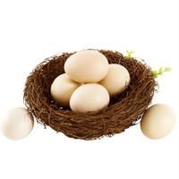 潭牛 文昌鸡初产蛋 40枚