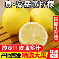 张小壮 新鲜香水柠檬5斤大果（现货）
