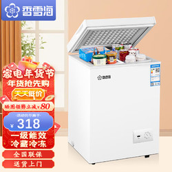 香雪海 单温柜 40S108L 小冷柜 冰柜家用 母乳节能迷你小型冰柜