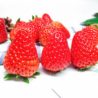 草莓 上海红颜草莓300g*2盒新鲜水果顺丰包邮