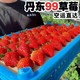  玖玖农场 丹东99草莓精选大果2斤礼盒单果30g起新鲜草莓　