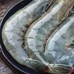 XYXT 虾有虾途 青岛大虾新鲜海虾16-18厘米带箱4斤青虾白虾鲜活冷冻大虾