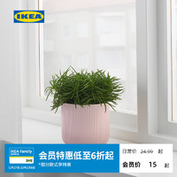 IKEA 宜家 GRADVIS格拉维斯装饰用花盆粉红色落地盆