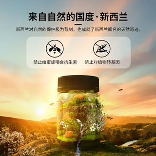 COMVITA 康维他 蜂蜜麦卢卡（10+454g)一磅装 新西兰原装进口 麦卢卡5+250g三瓶装