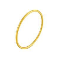 GOLD OF CHINA 中银金行 DSGA0044 素圈足金手镯 5cm 20g