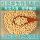 东北黑龙江黄豆农家自产大黄豆3斤五谷杂粮豆浆豆芽非转基因批发