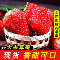 鲜姿 丹东99红颜大草莓 新鲜水果孕妇水果礼盒 3斤推荐装