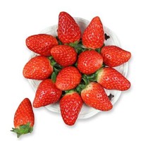 京东生鲜 山东章姬奶油草莓 约重250g/12-15颗