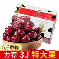 智利进口新鲜车厘子5斤原箱礼盒2/3/4J脆甜大樱桃应季水果大果JJJ
