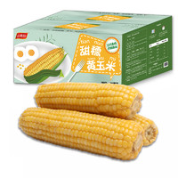 吉琪多香甜软糯黄玉米棒10根单根200g以上 真空包装新鲜水果玉米棒
