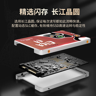 FANXIANG 梵想 S100PRO SATA3.0固态硬盘 2TB