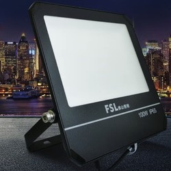 FSL 佛山照明 FG128系列 LED投光灯