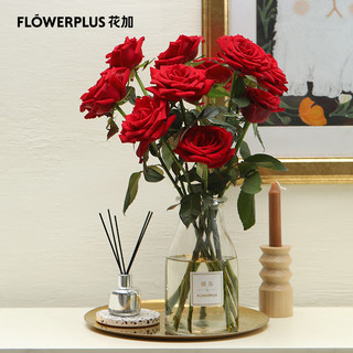 FlowerPlus 花加 单品鲜花产地直发随机玫瑰10枝