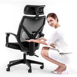 LIANFENG 联丰 DS-203 人体工学电脑椅 黑色