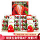 鲜有志 四川大凉山红颜草莓礼盒 3盒