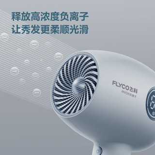 飞科 FLYCO 电吹风机 负离子恒温护发 家用冷热大风量快速干发吹风筒FH6366