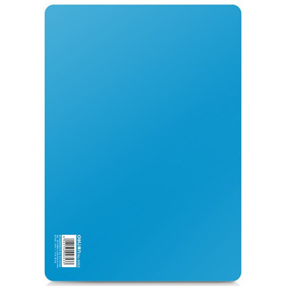 DL 得力工具 得力(deli)实色复写板/书写垫板 学生会议考试垫板 办公用品 A5(198*148mm)蓝色