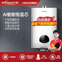 Vanward 万和 燃气热水器12升-16升家用天然气液化气煤气即热式强排式恒温