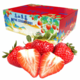PLUS会员：露天高山草莓 甄选中果5斤礼盒装