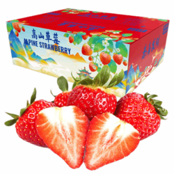 露天高山草莓 甄选中果5斤礼盒装