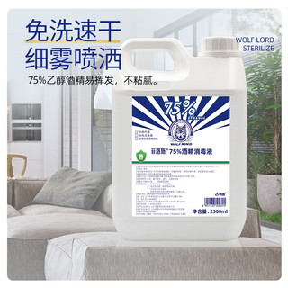 MISTOLIN75%酒精消毒液乙醇2.5L皮肤物品清洁消毒护理消毒杀菌酒精 75%消毒酒精*2.5L装