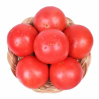 鲁道鲜 山东普罗旺斯西红柿 5斤装 新鲜西红柿番茄 新鲜蔬菜
