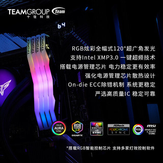 十铨(Team) DELTA 炫彩RGB DDR5 6400 台式机灯条 高频电脑内存条 白色 32G（16Gx2）