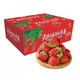 勿语 大凉山奶油草莓非红颜 新鲜水果 非丹东奶油草莓 4盒装中果（单果12克+）